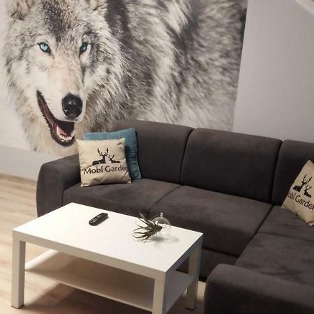 Apartament Widokowy Ustrzyki Dolne Buitenkant foto